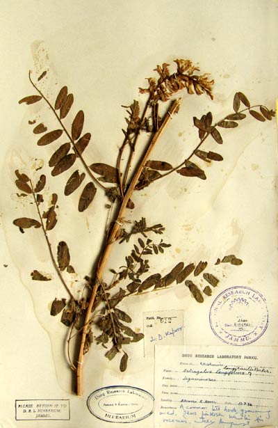 Official Record