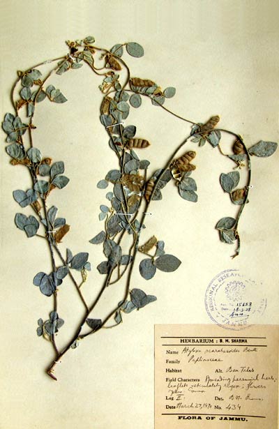 Official Record