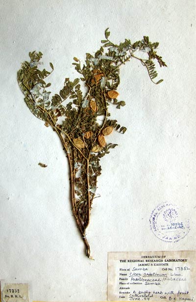 Official Record