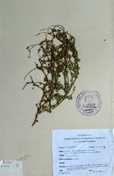 Official Record