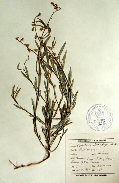 Official Record