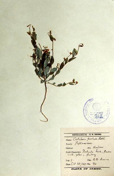 Official Record