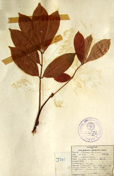 Official Record