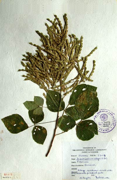 Official Record