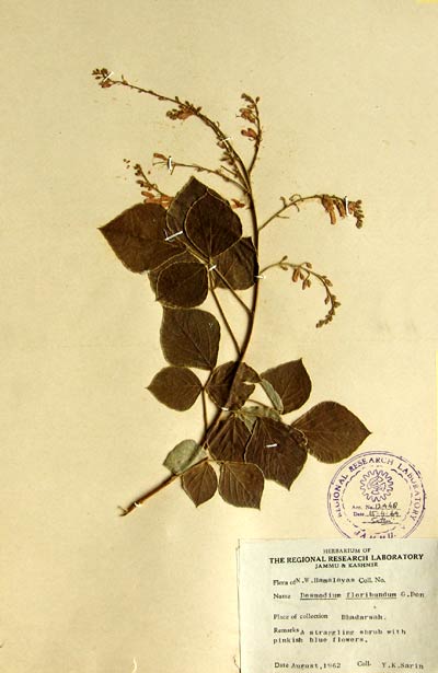 Official Record