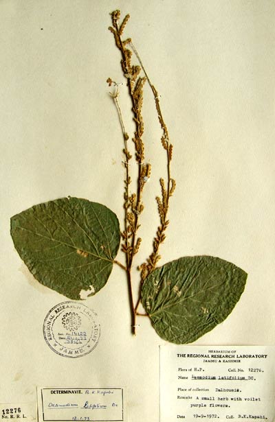 Official Record