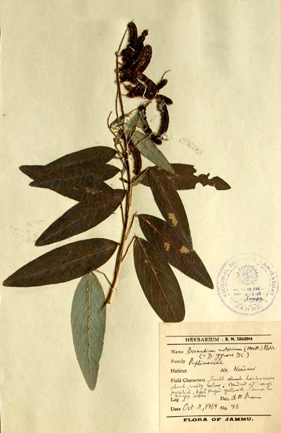 Official Record