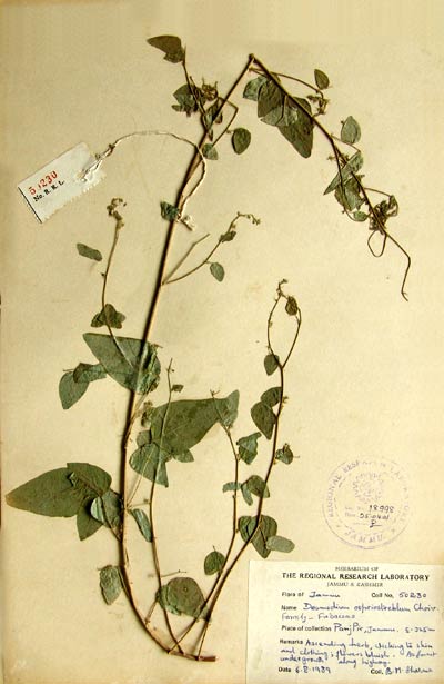 Official Record