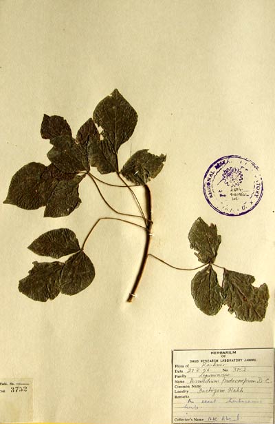 Official Record