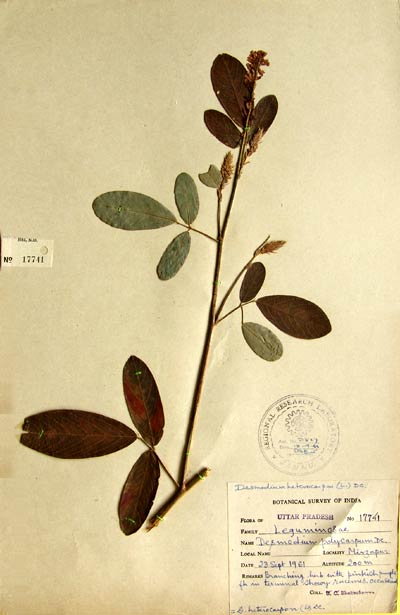 Official Record