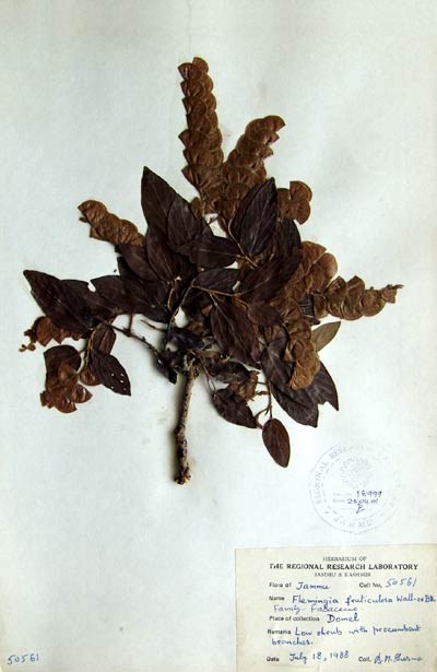 Official Record