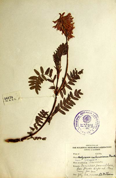 Official Record