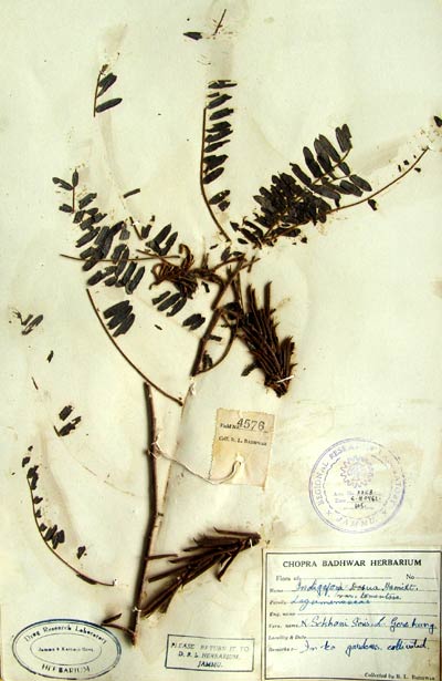 Official Record