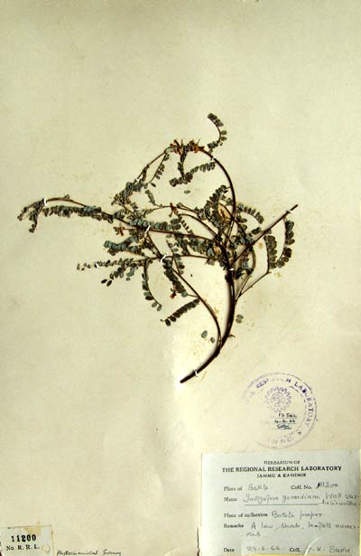 Official Record