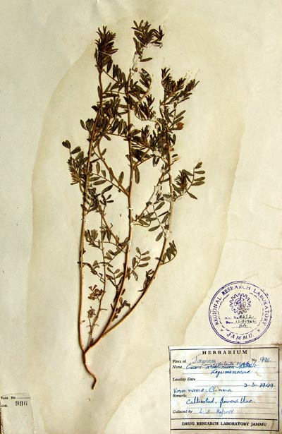 Official Record