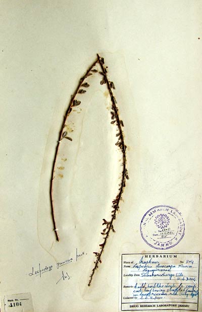 Official Record