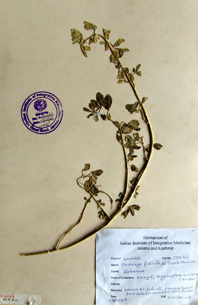Official Record