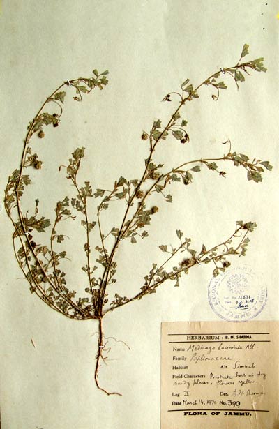Official Record