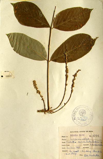 Official Record