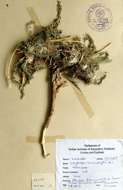 Official Record