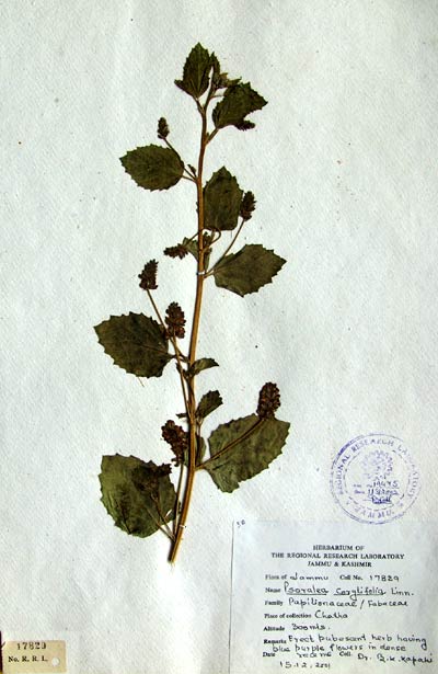 Official Record