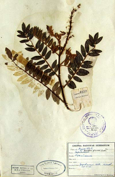 Official Record