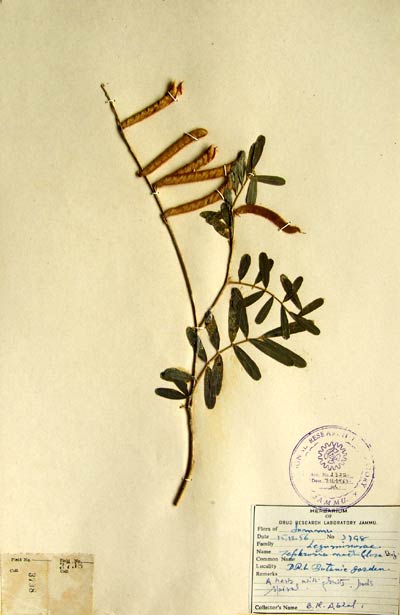 Official Record