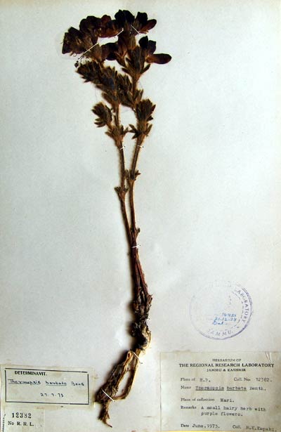 Official Record