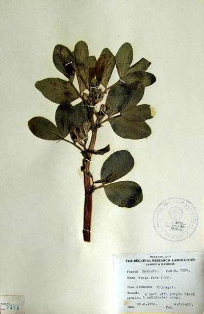 Official Record