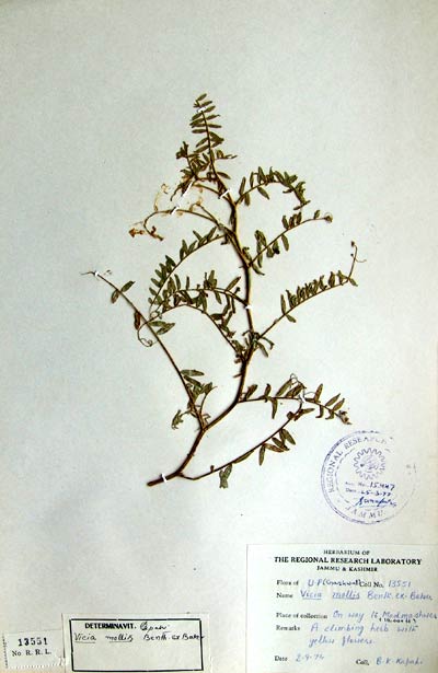 Official Record