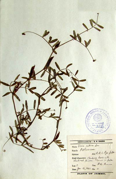 Official Record
