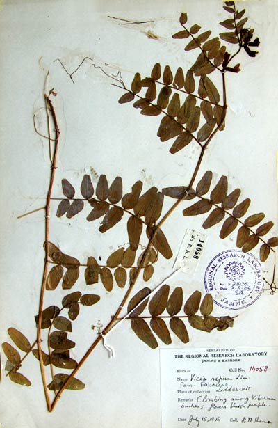 Official Record