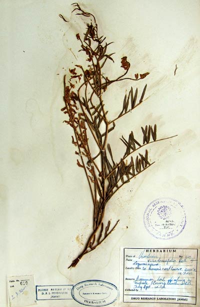 Official Record