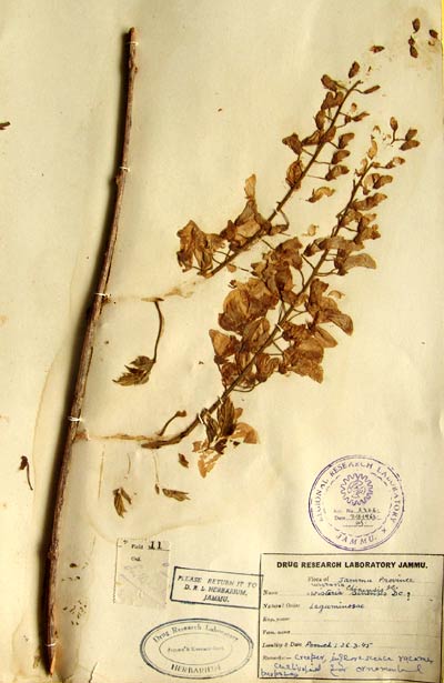 Official Record
