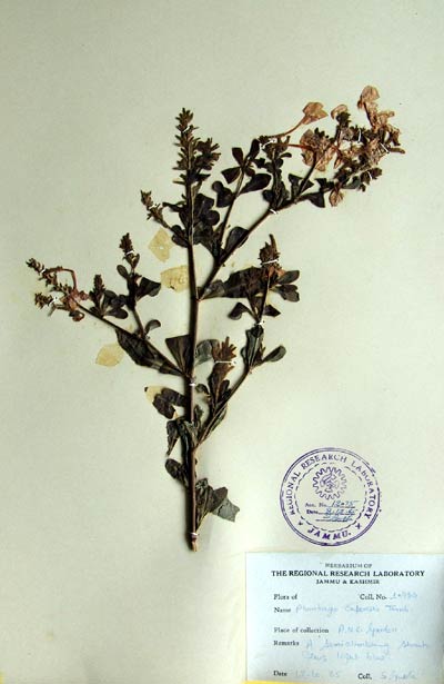 Official Record