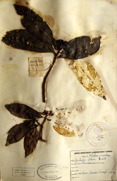 Official Record