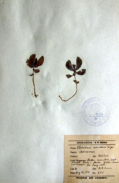 Official Record