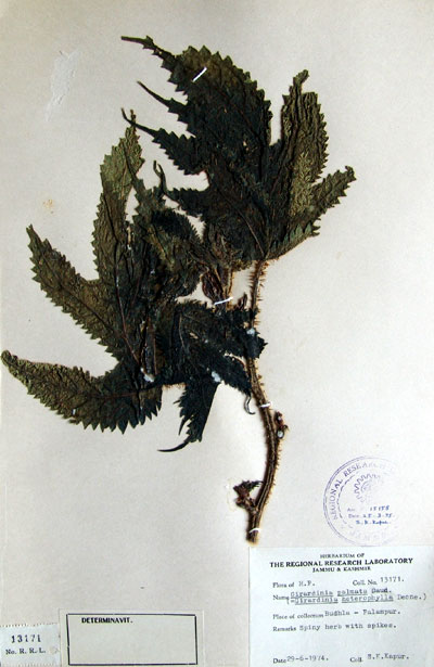 Official Record