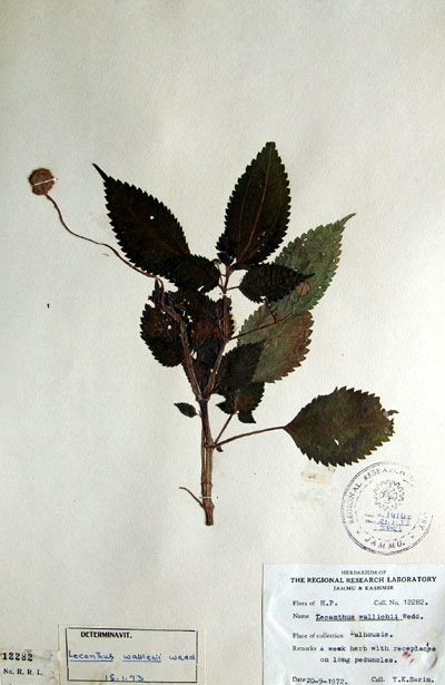 Official Record
