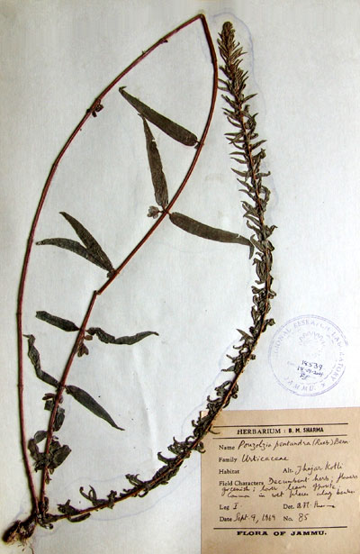 Official Record