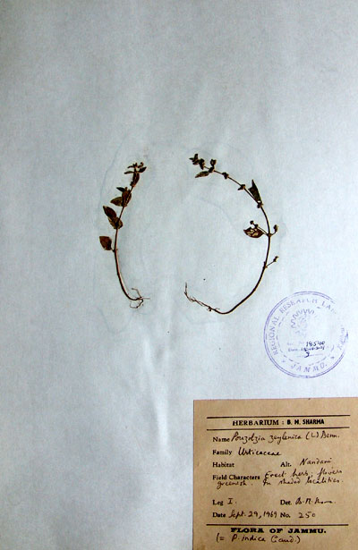 Official Record