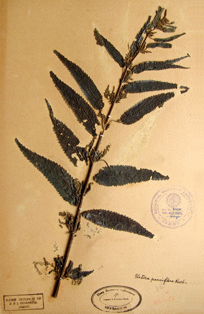 Official Record