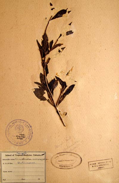 Official Record