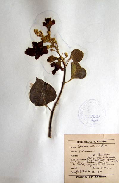 Official Record