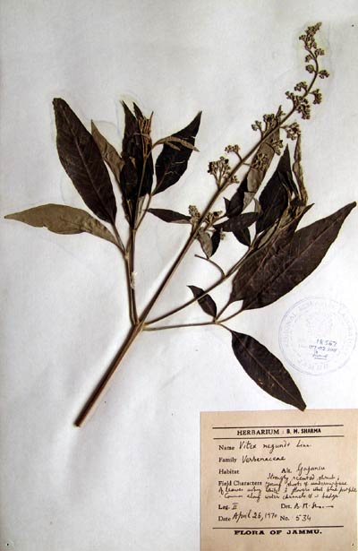 Official Record