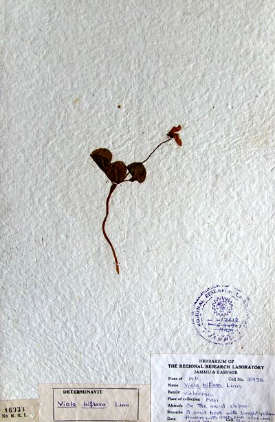 Official Record