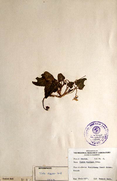 Official Record