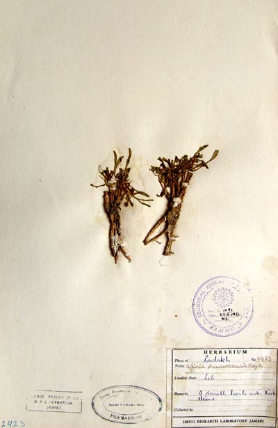 Official Record