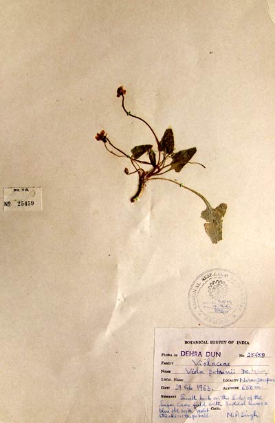 Official Record